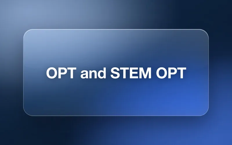 OPT and STEM OPT